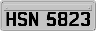 HSN5823