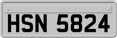 HSN5824