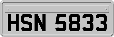 HSN5833