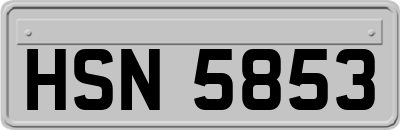 HSN5853