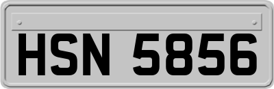 HSN5856