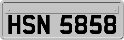 HSN5858