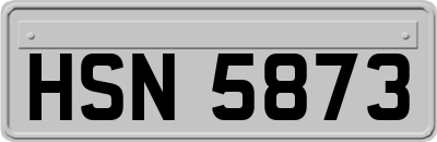 HSN5873