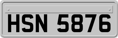 HSN5876
