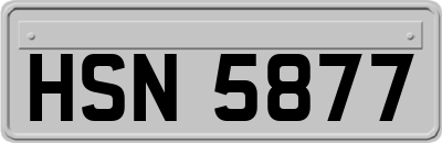 HSN5877