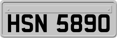 HSN5890
