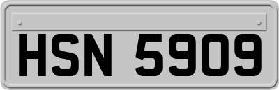 HSN5909