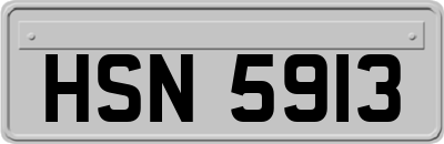 HSN5913