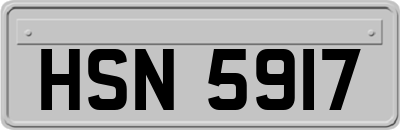 HSN5917