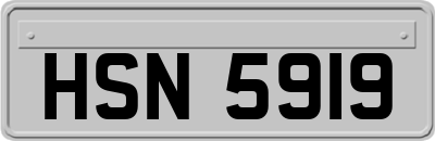HSN5919