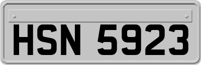 HSN5923