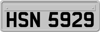 HSN5929