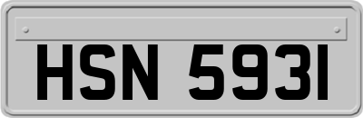 HSN5931