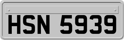 HSN5939