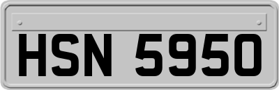 HSN5950