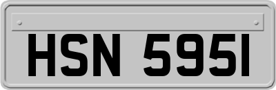 HSN5951