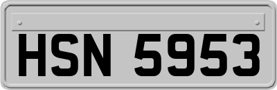 HSN5953