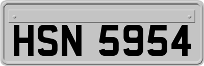 HSN5954