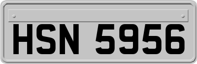 HSN5956