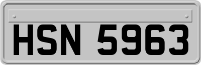 HSN5963