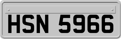HSN5966