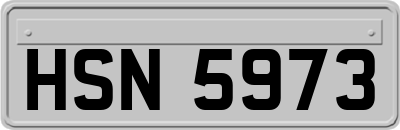 HSN5973