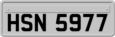 HSN5977