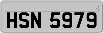 HSN5979