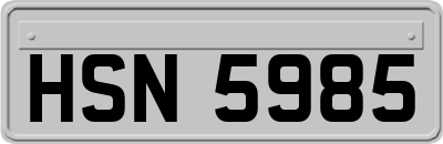 HSN5985