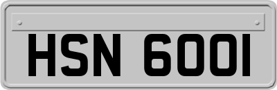 HSN6001