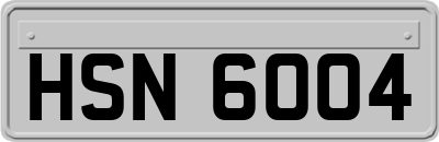 HSN6004