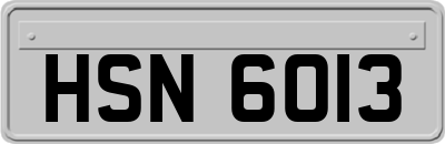 HSN6013