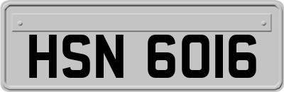 HSN6016
