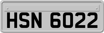 HSN6022