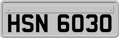 HSN6030