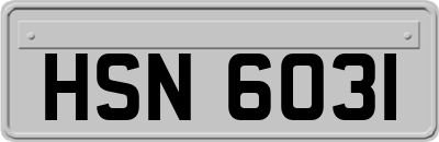 HSN6031