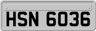 HSN6036