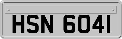 HSN6041