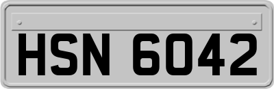HSN6042