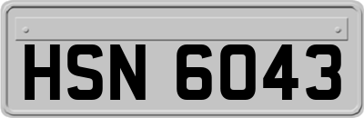 HSN6043