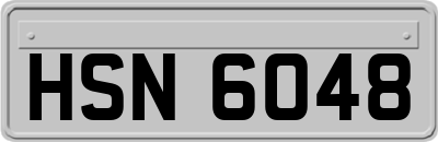 HSN6048