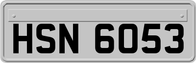 HSN6053