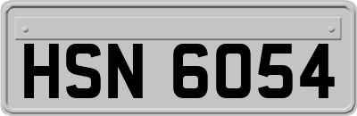 HSN6054