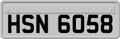 HSN6058