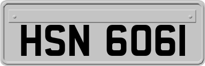 HSN6061