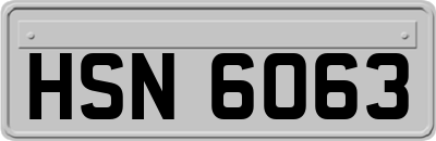 HSN6063
