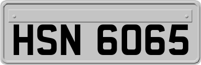 HSN6065