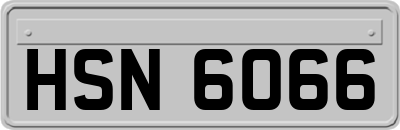 HSN6066