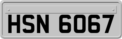 HSN6067