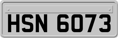 HSN6073
